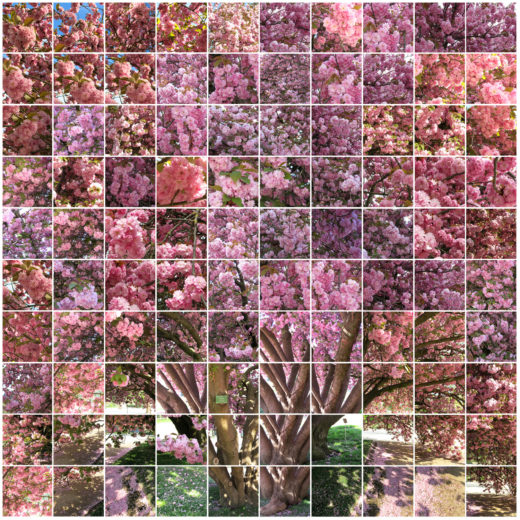 L'arbre orgasmique - Large L