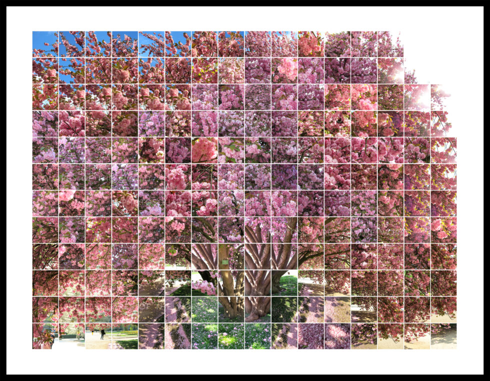 L'arbre orgasmique – Image 3