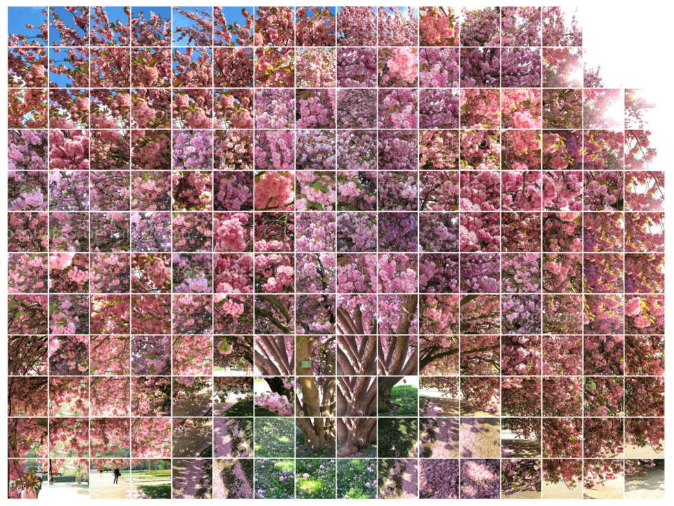L'arbre orgasmique – Image 2