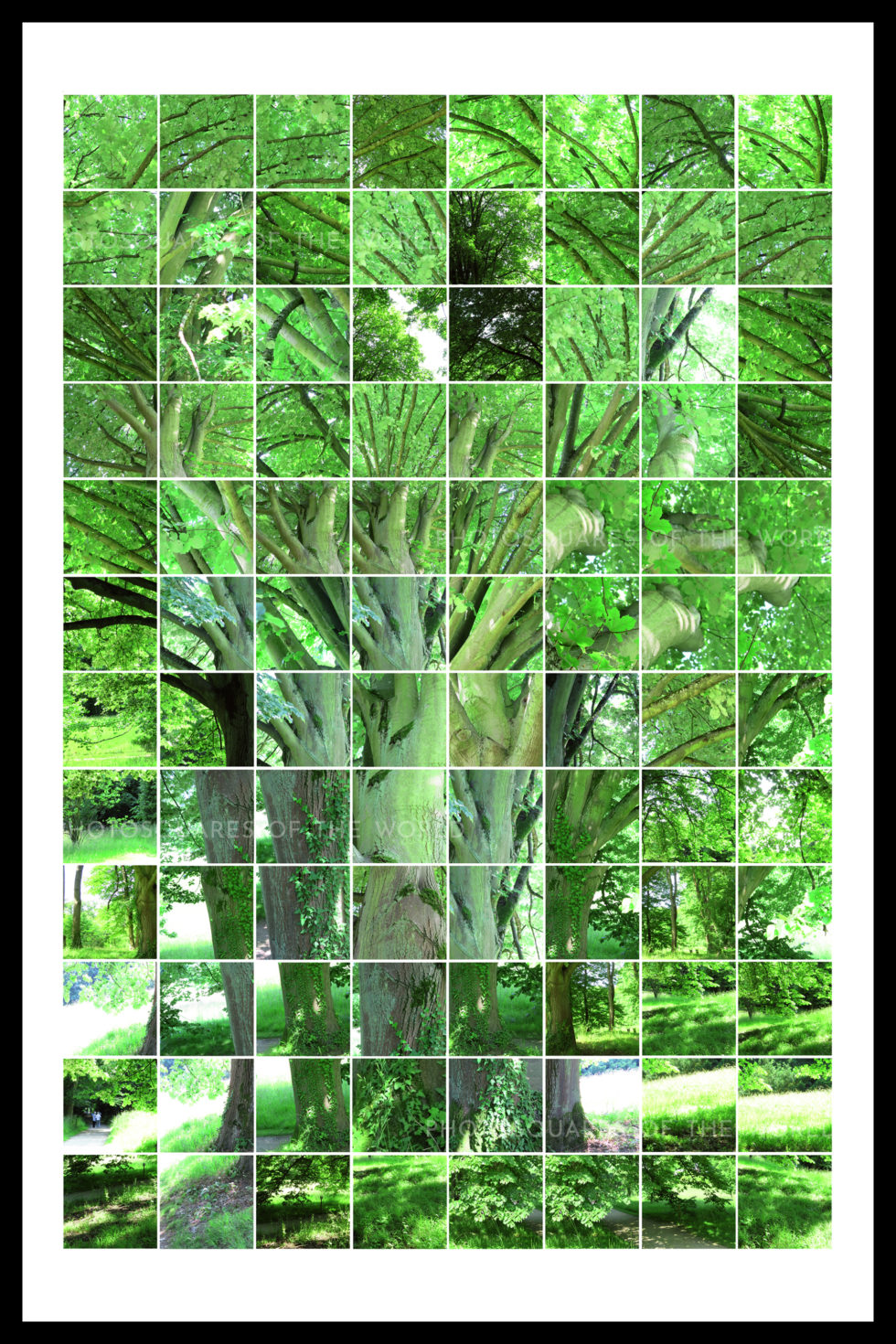L'Arbre de Serge – Image 3