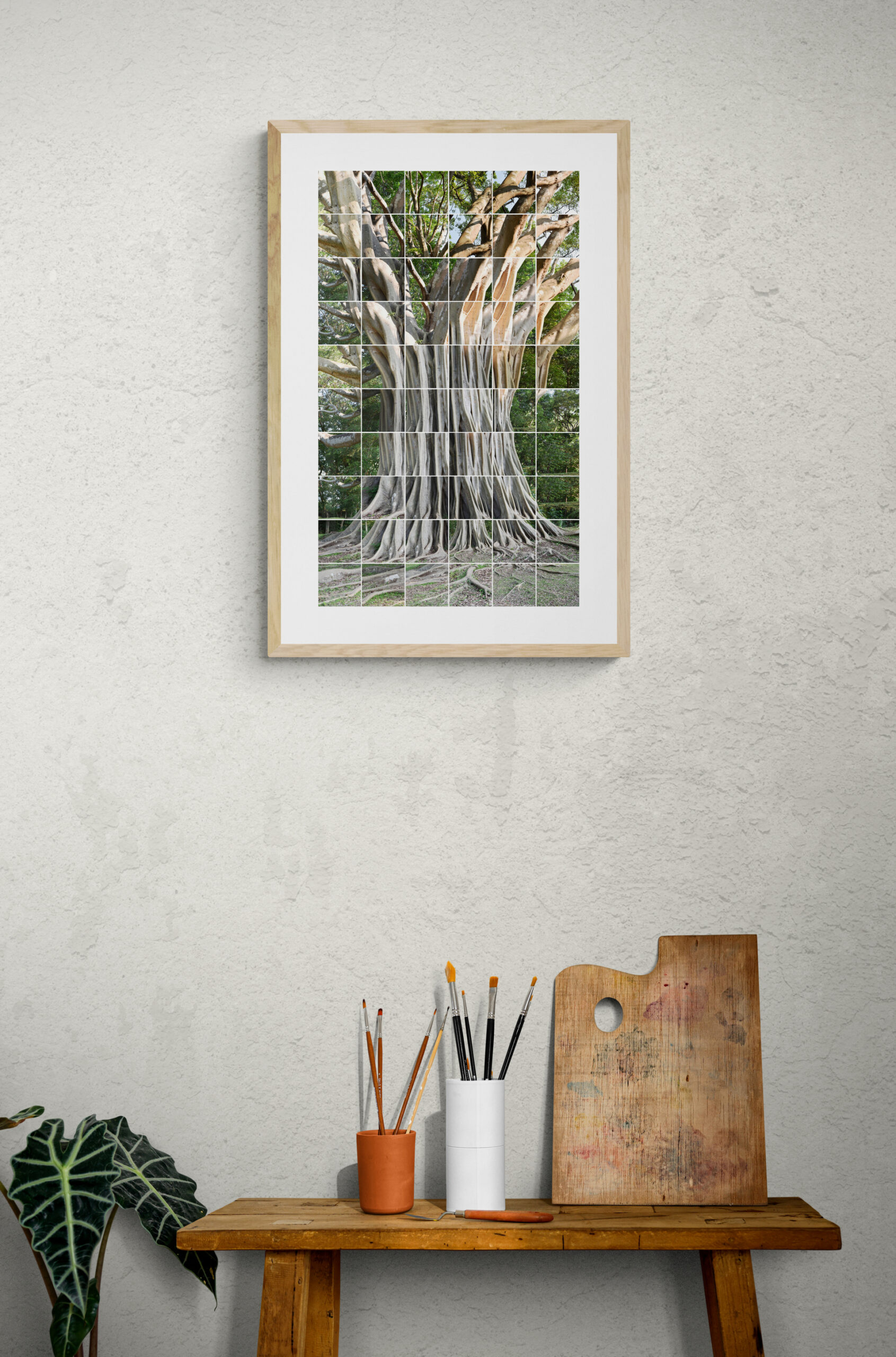 Tirage photographique d'un arbre fromager au Sri Lanka, exposé dans un bureau